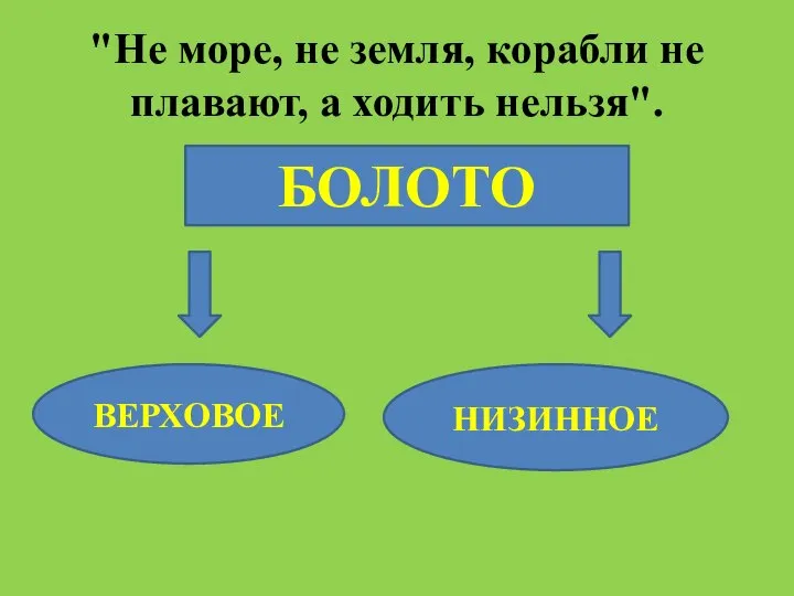 "Не море, не земля, корабли не плавают, а ходить нельзя". БОЛОТО ВЕРХОВОЕ НИЗИННОЕ