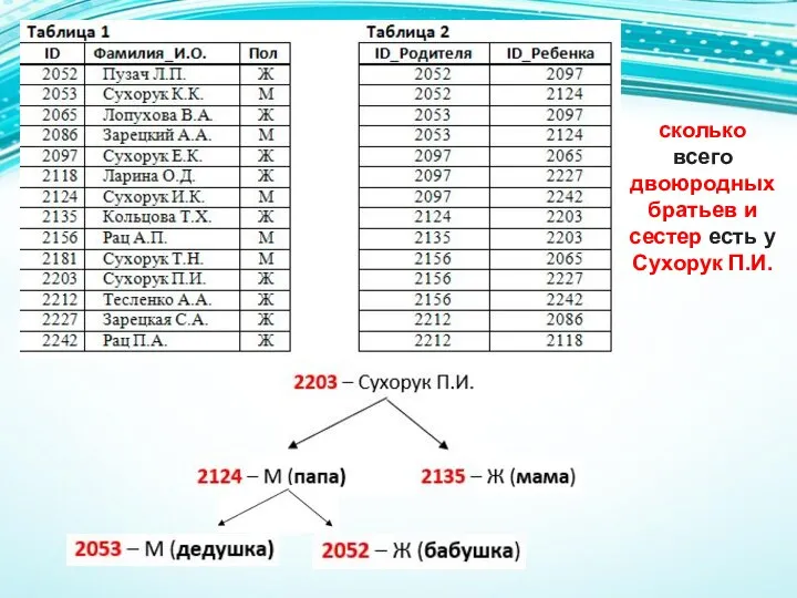 сколько всего двоюродных братьев и сестер есть у Сухорук П.И.