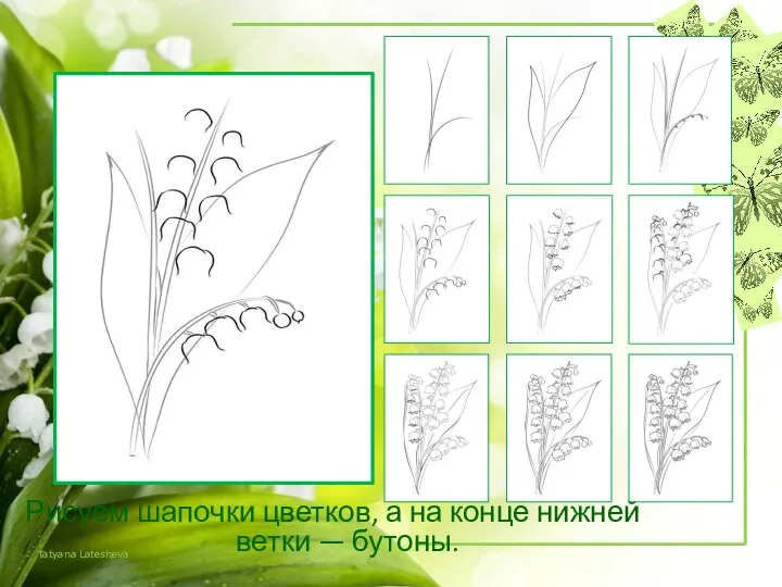 Рисуем шапочки цветков, а на конце нижней ветки — бутоны.