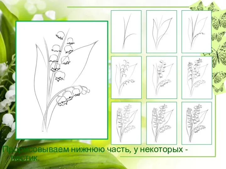 Прорисовываем нижнюю часть, у некоторых - пестик.