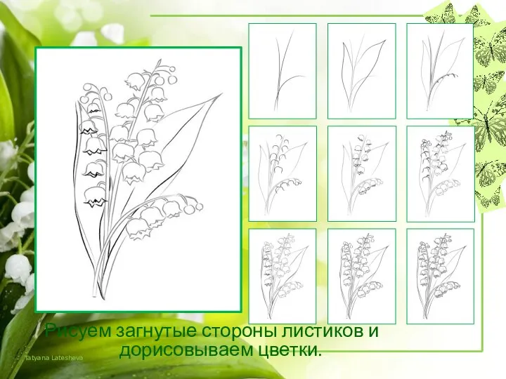 Рисуем загнутые стороны листиков и дорисовываем цветки.