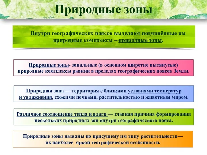 Природные зоны Внутри географических поясов выделяют подчинённые им природные комплексы – природные