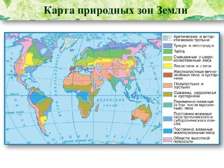 Карта природных зон Земли