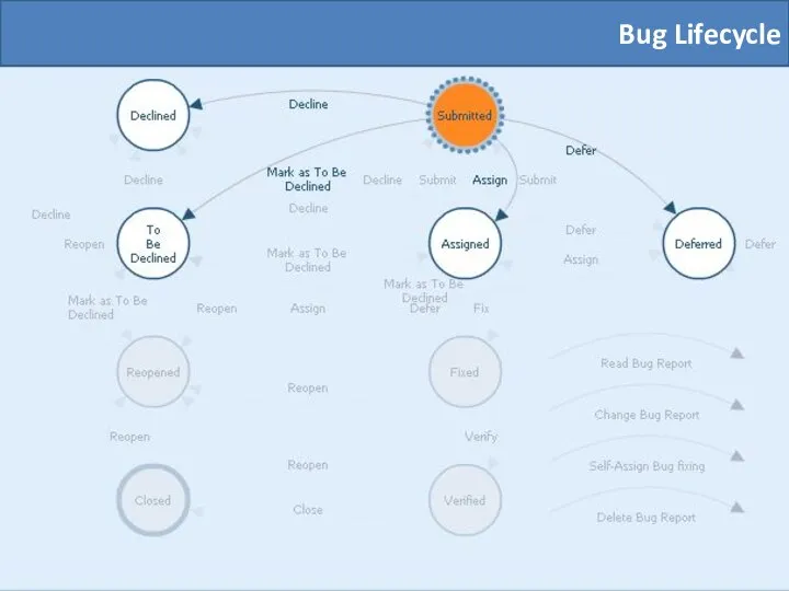 Bug Lifecycle