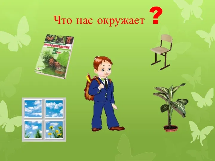 Что нас окружает ?