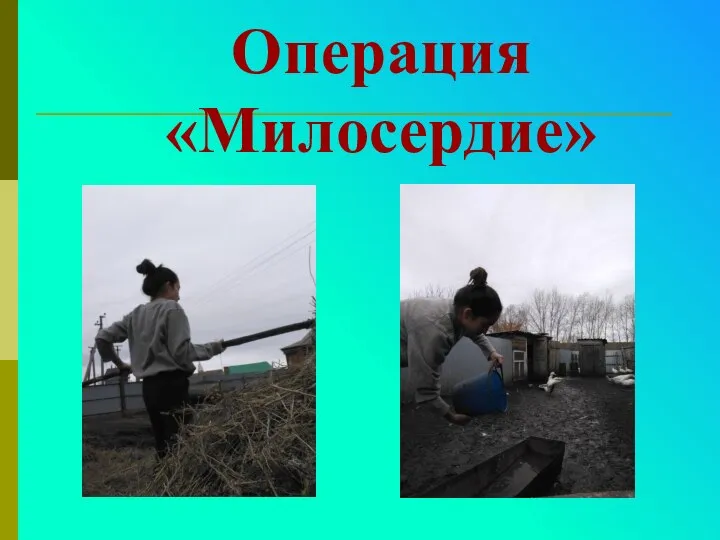 Операция «Милосердие»