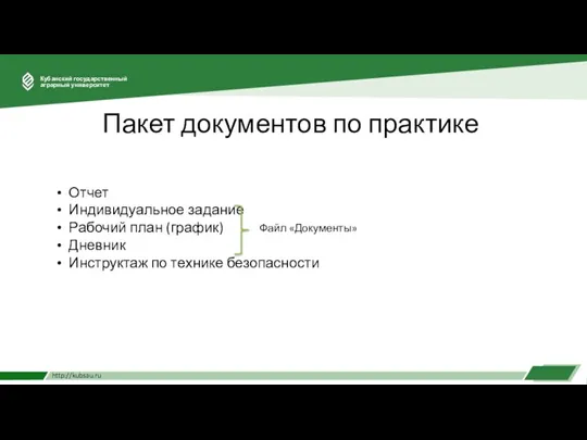 Пакет документов по практике Отчет Индивидуальное задание Рабочий план (график) Дневник Инструктаж