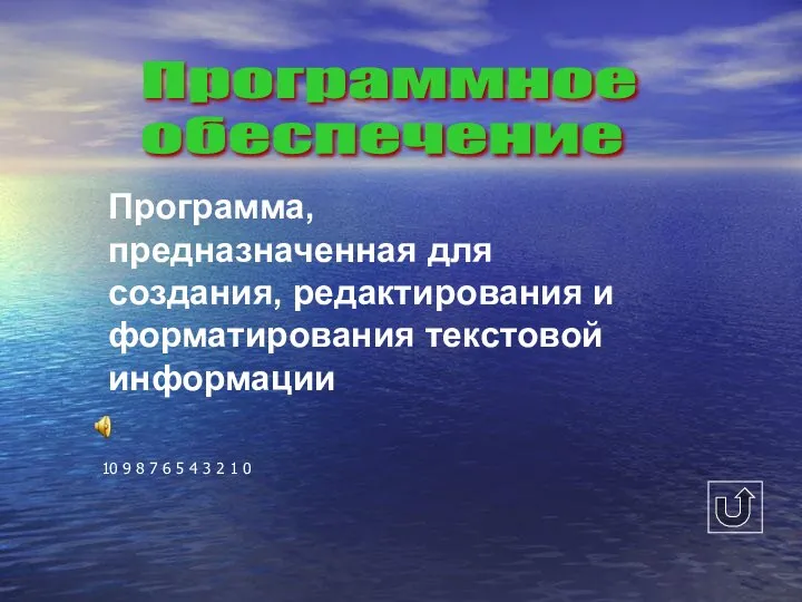 Программное обеспечение Программа, предназначенная для создания, редактирования и форматирования текстовой информации 10