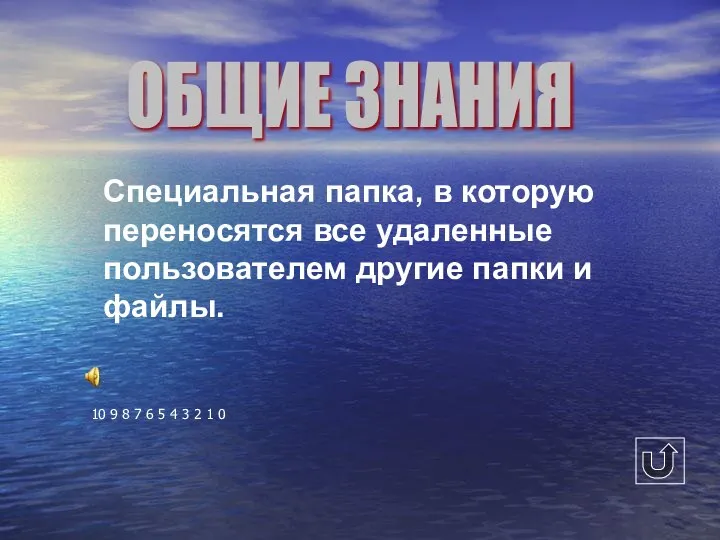 Специальная папка, в которую переносятся все удаленные пользователем другие папки и файлы.