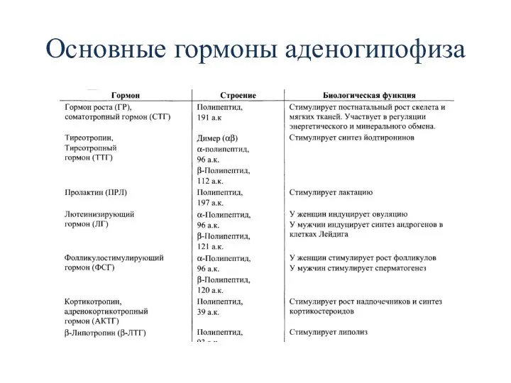 Основные гормоны аденогипофиза