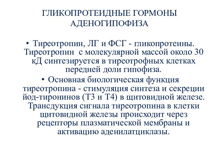 ГЛИКОПРОТЕИДНЫЕ ГОРМОНЫ АДЕНОГИПОФИЗА Тиреотропин, ЛГ и ФСГ - гликопротеины. Тиреотропин с молекулярной