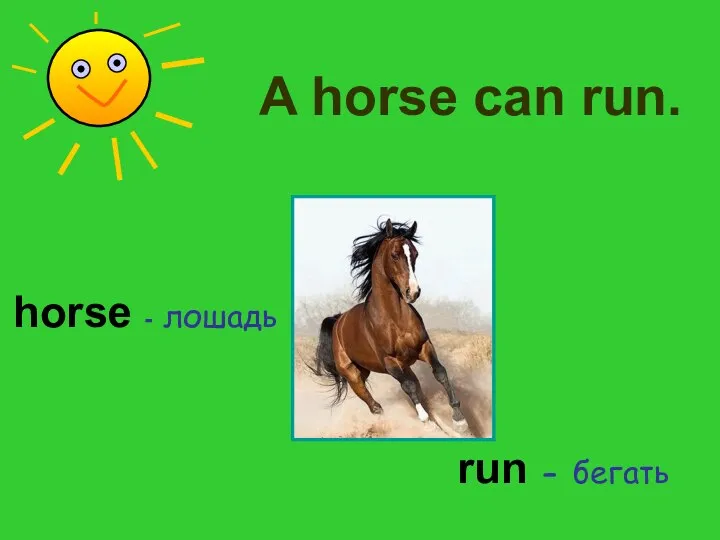 horse - лошадь run - бегать A horse can run.