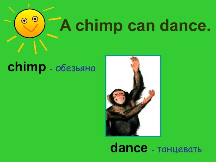 A chimp can dance. chimp - обезьяна dance - танцевать