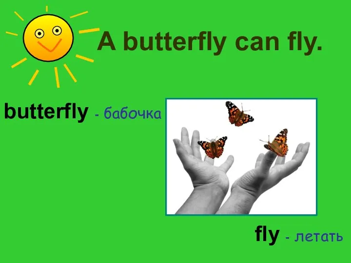A butterfly can fly. butterfly - бабочка fly - летать