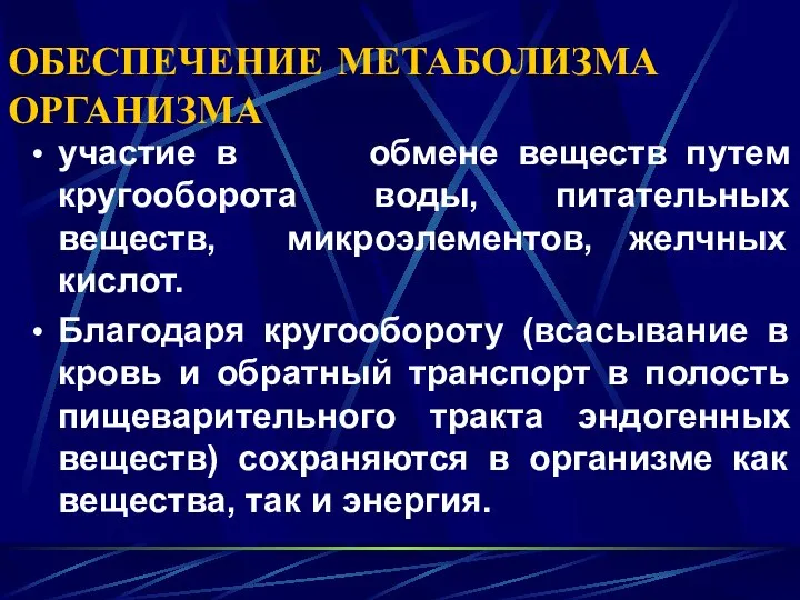 ОБЕСПЕЧЕНИЕ МЕТАБОЛИЗМА ОРГАНИЗМА участие в обмене веществ путем кругооборота воды, питательных веществ,