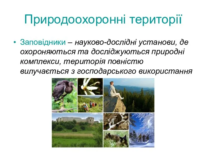 Природоохоронні території Заповідники – науково-дослідні установи, де охороняються та досліджуються природні комплекси,