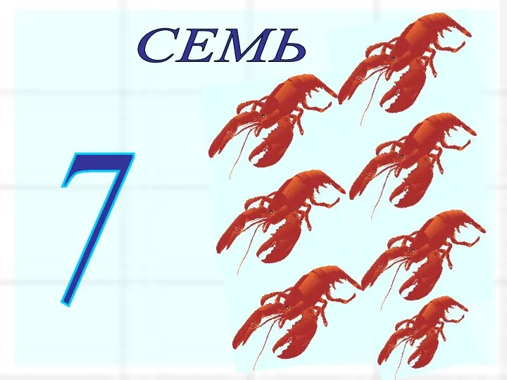 СЕМЬ 7