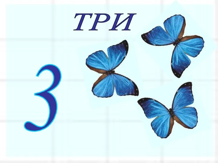 ТРИ 3