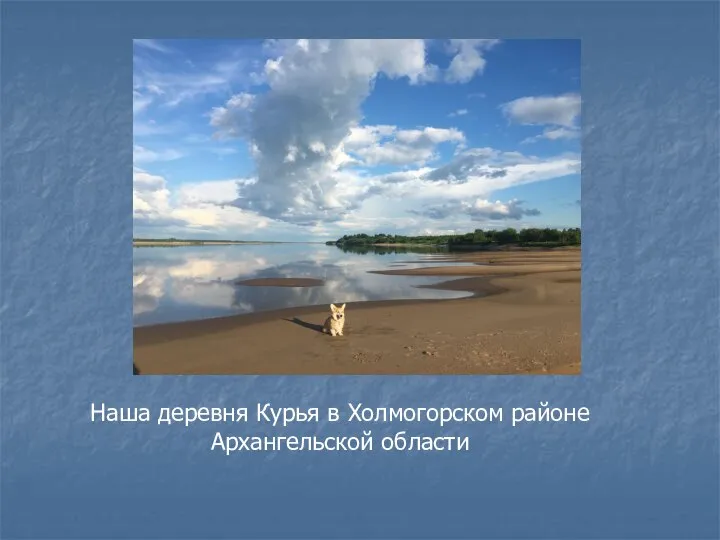 Наша деревня Курья в Холмогорском районе Архангельской области