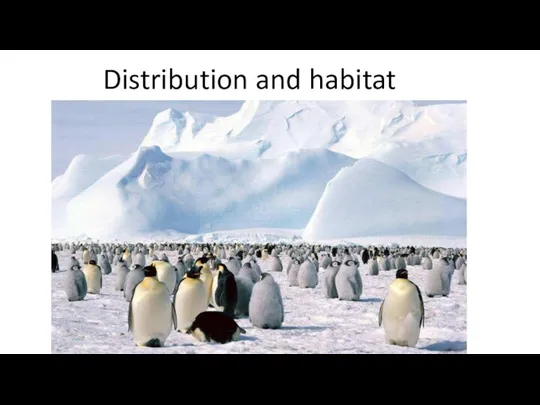 Distribution and habitat