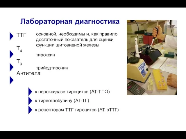 ТТГ T4 T3 Антитела Лабораторная диагностика основной, необходимы и, как правило достаточный