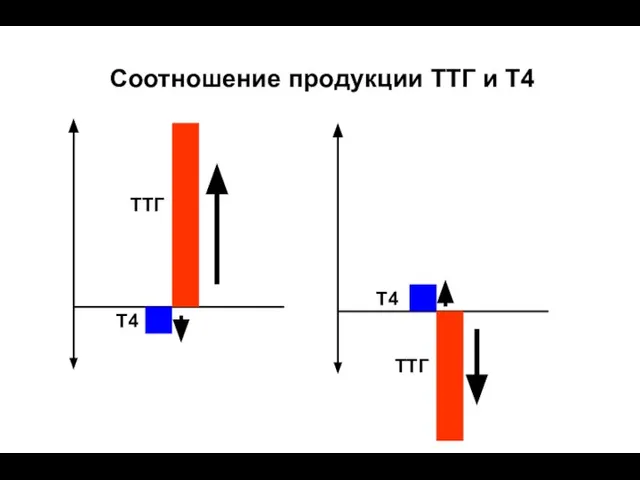 Соотношение продукции ТТГ и Т4