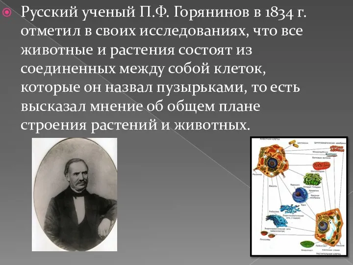 Русский ученый П.Ф. Горянинов в 1834 г. отметил в своих исследованиях, что