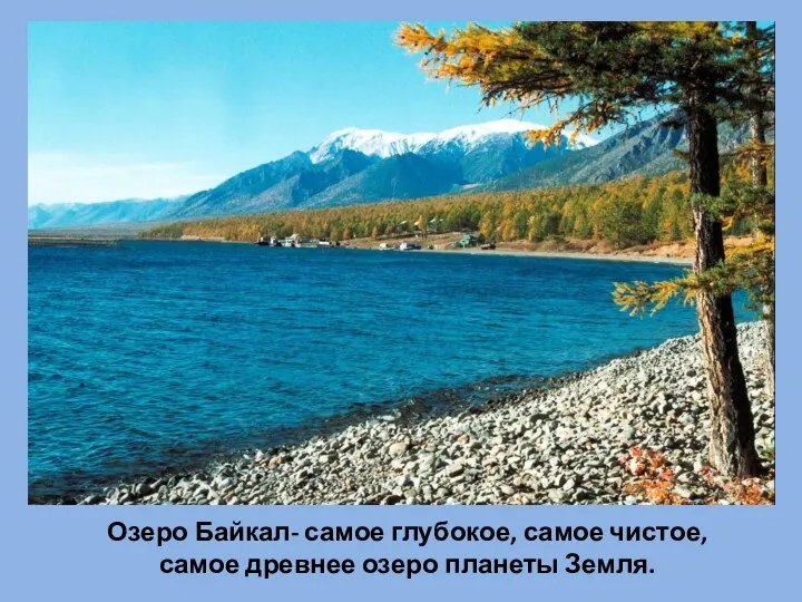 Озеро Байкал- самое глубокое, самое чистое, самое древнее озеро планеты Земля.