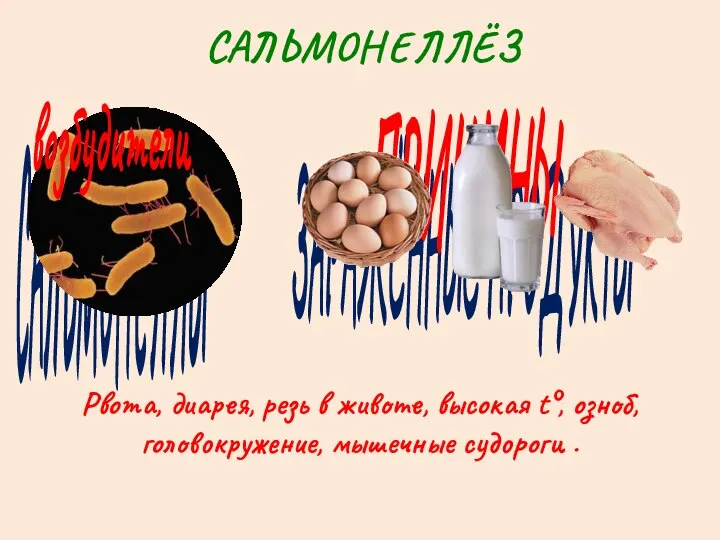 ЗАРАЖЁННЫЕ ПРОДУКТЫ САЛЬМОНЕЛЛЫ САЛЬМОНЕЛЛЁЗ возбудители ПРИЧИНЫ Рвота, диарея, резь в животе, высокая