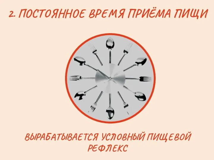 2. ПОСТОЯННОЕ ВРЕМЯ ПРИЁМА ПИЩИ ВЫРАБАТЫВАЕТСЯ УСЛОВНЫЙ ПИЩЕВОЙ РЕФЛЕКС