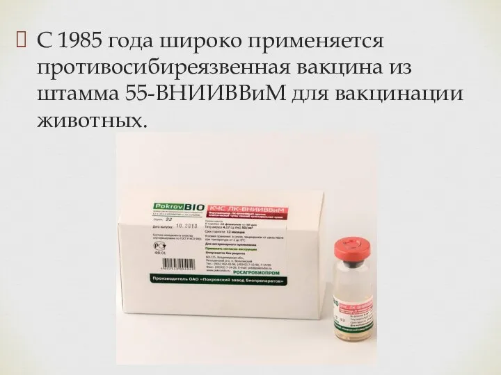 С 1985 года широко применяется противосибиреязвенная вакцина из штамма 55-ВНИИВВиМ для вакцинации животных.