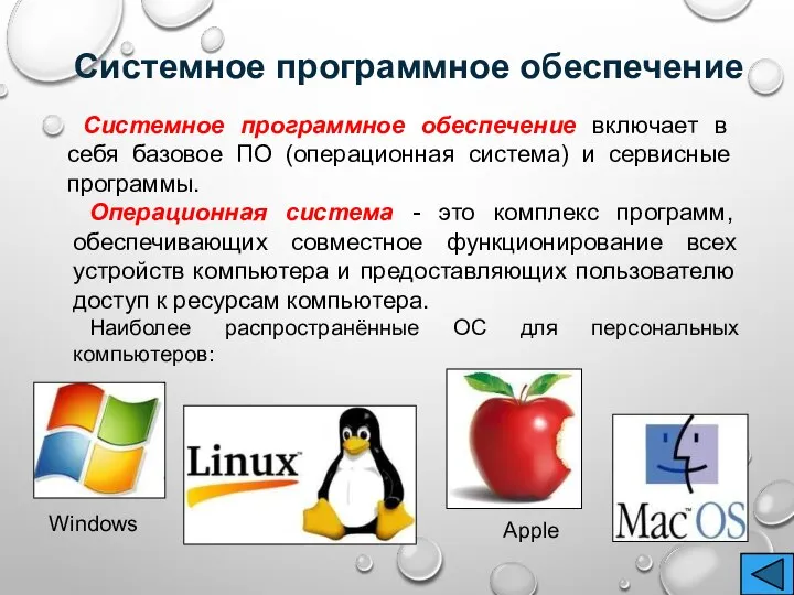 Системное программное обеспечение включает в себя базовое ПО (операционная система) и сервисные