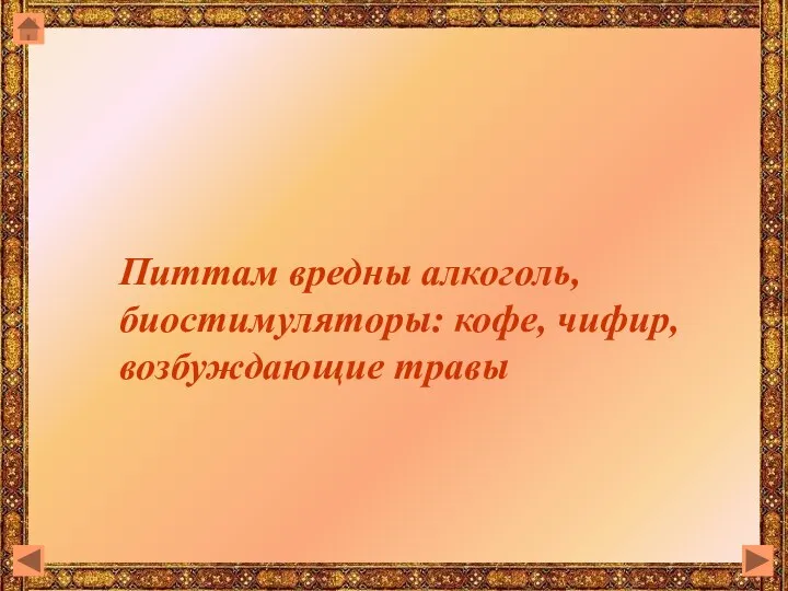 Питтам вредны алкоголь, биостимуляторы: кофе, чифир, возбуждающие травы