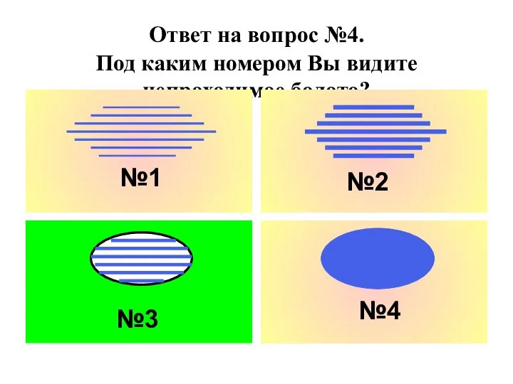 Ответ на вопрос №4. Под каким номером Вы видите непроходимое болото? №1 №2 №3 №4