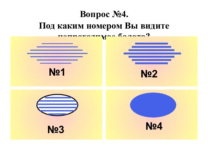 Вопрос №4. Под каким номером Вы видите непроходимое болото? №1 №2 №3 №4