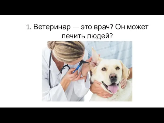 1. Ветеринар — это врач? Он может лечить людей?