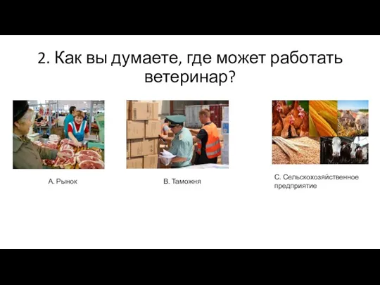 2. Как вы думаете, где может работать ветеринар? А. Рынок В. Таможня С. Сельскохозяйственное предприятие