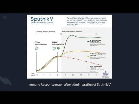 Immune Response graph after administration of Sputnik V