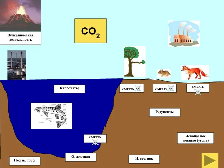 Редуценты СМЕРТЬ☠ СМЕРТЬ☠ СМЕРТЬ☠ Известняк Нефть, торф Ископаемое топливо (уголь) Вулканическая деятельность CO2 СМЕРТЬ☠ Карбонаты Отложения