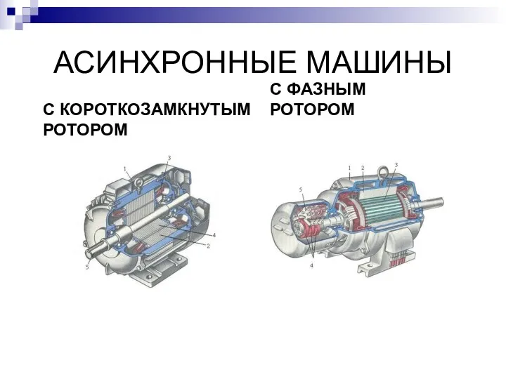 С КОРОТКОЗАМКНУТЫМ РОТОРОМ С ФАЗНЫМ РОТОРОМ АСИНХРОННЫЕ МАШИНЫ