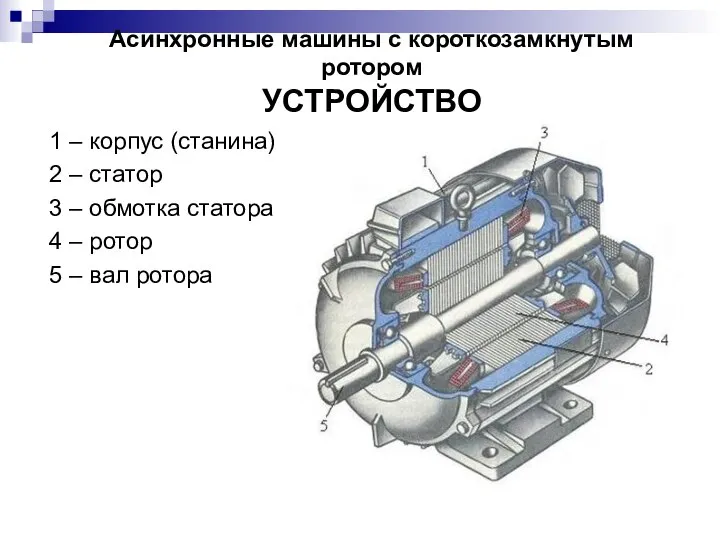 Асинхронные машины с короткозамкнутым ротором УСТРОЙСТВО 1 – корпус (станина) 2 –