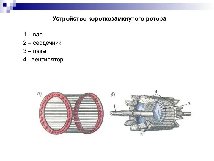 Устройство короткозамкнутого ротора 1 – вал 2 – сердечник 3 – пазы 4 - вентилятор