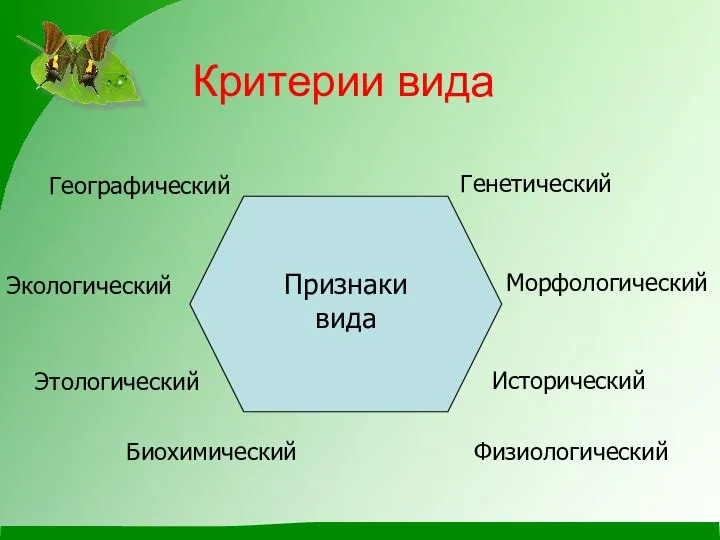 Критерии вида Признаки вида Генетический Физиологический Биохимический Экологический Географический Морфологический Этологический Исторический