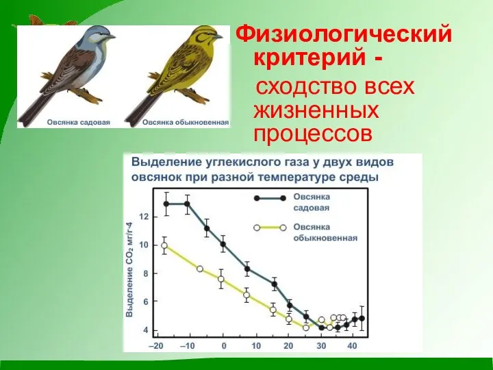 Физиологический критерий - сходство всех жизненных процессов