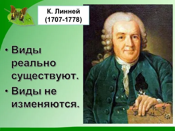 К. Линней (1707-1778)