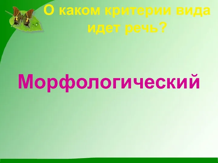 О каком критерии вида идет речь? Морфологический