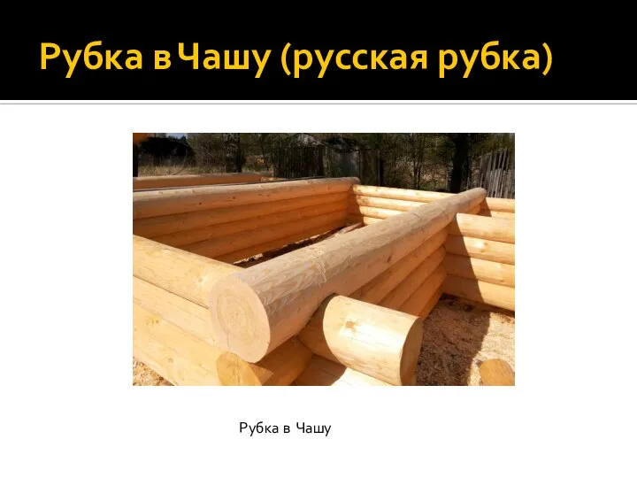 Рубка в Чашу (русская рубка) Рубка в Чашу