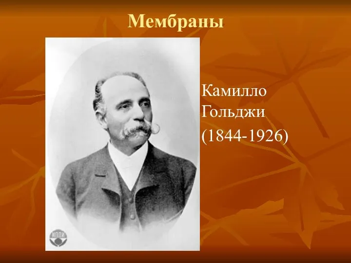 Мембраны Камилло Гольджи (1844-1926)