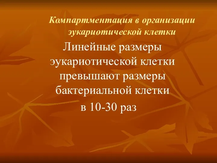 Линейные размеры эукариотической клетки превышают размеры бактериальной клетки в 10-30 раз Компартментация в организации эукариотической клетки