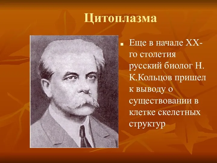 Цитоплазма Еще в начале ХХ-го столетия русский биолог Н.К.Кольцов пришел к выводу